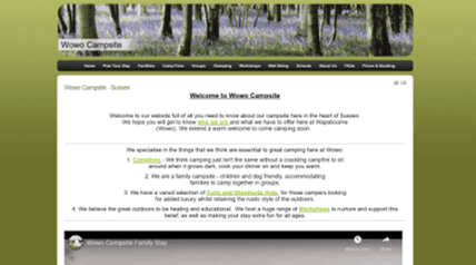 web design on wordpress and webflow freelance agency service